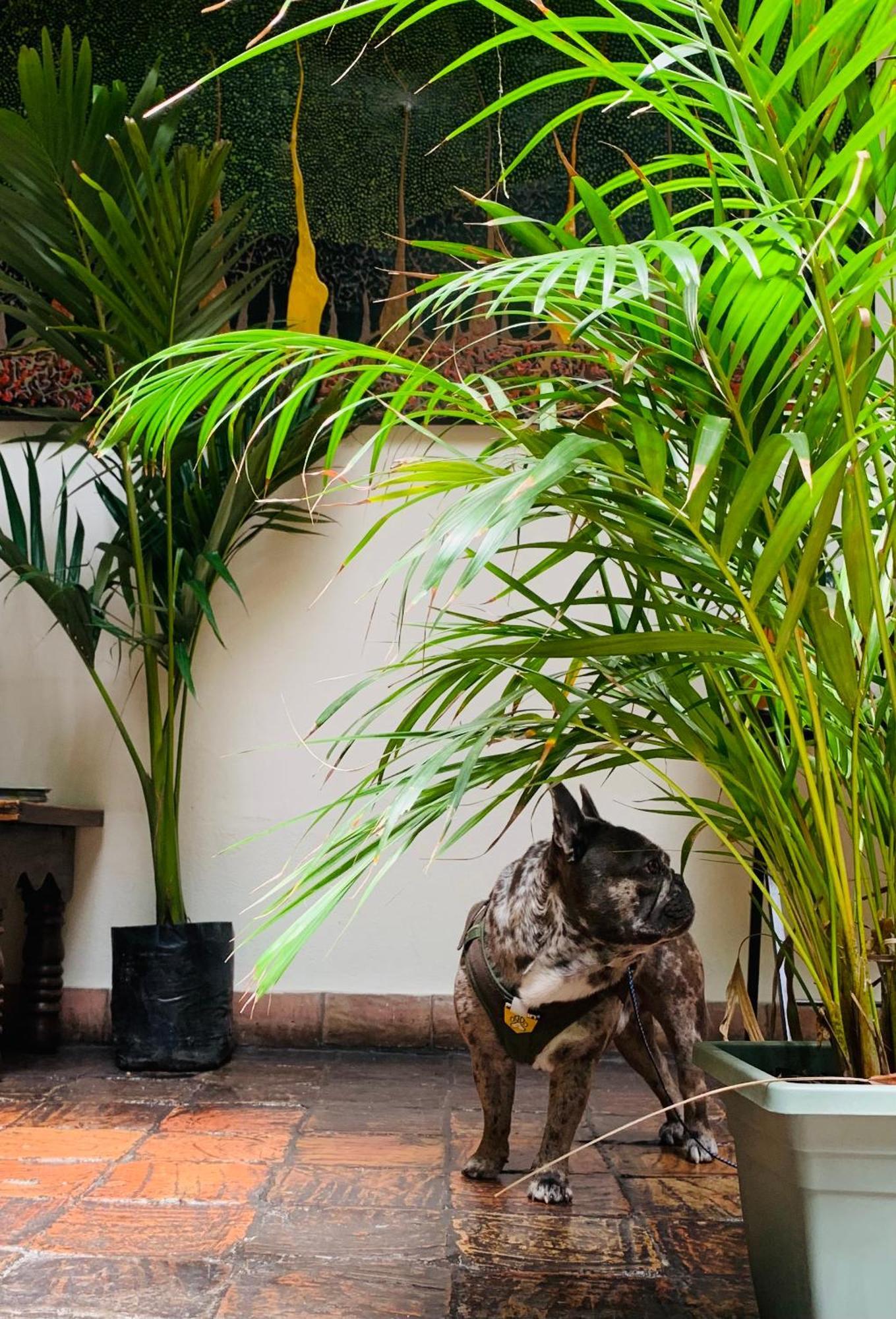 Hotel Posada de San Agustin Tunja Bagian luar foto